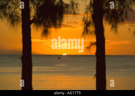 Sunset between Filaos trees on the North West coast of Mauritius Stock Photo