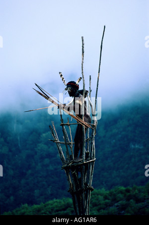 geography / travel, Indonesia, people, Dani tribe man hunting, Island New Guinea, Irian Jaya, Baliem valley, , Additional-Rights-Clearance-Info-Not-Available Stock Photo