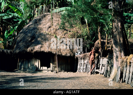 geography / travel, Indonesia, people, Dani tribe man next to hut,  Island New Guinea, Irian Jaya, Baliem valley, , Additional-Rights-Clearance-Info-Not-Available Stock Photo