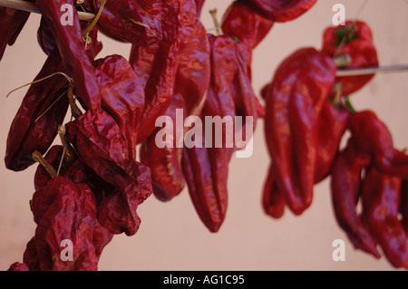 paprika Stock Photo