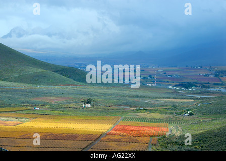Hex River Valley in Autumn Stock Photo