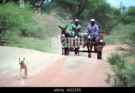 Donkey cart on rural road in Botswana Stock Photo