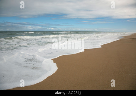 apollo beach canaveral national seashore nudist beach