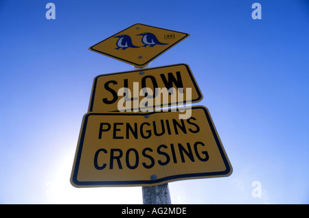 Road sign warning of Little Blue Penguin Eudyptula mino crossing Oamaru New Zealand Stock Photo