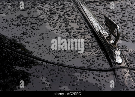 old austin bonnet mascot Stock Photo