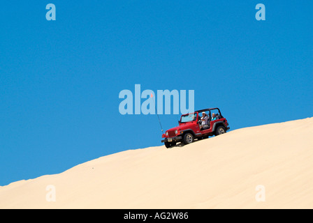 seashore auto seashore auto