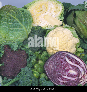 A selection of greens brassica crops from the supermarket Stock Photo