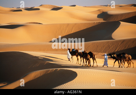 Algeria near Timimoun Bedouins walking with camels in Sahara desert Stock Photo