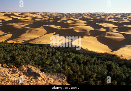 Algeria Taghit Palm trees in oasis and sand dunes Stock Photo