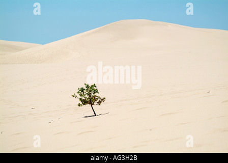 Sleeping Bear Dunes National Seashore Michigan Stock Photo