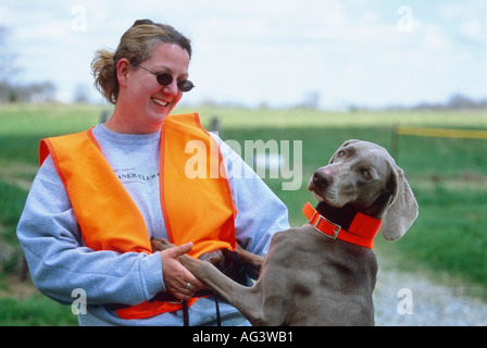 Woman Amateur Handler Weimaraner During AKC Hunt Test Near Waverly Indiana Stock Photo
