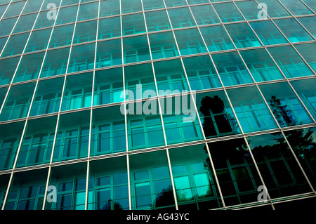 The face of commerce. Stock Photo