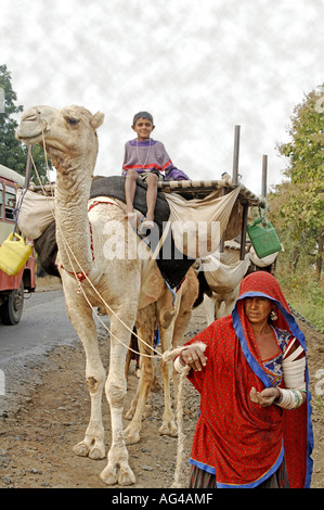 HMA79187 Migratory family of gypsies travel by camels Akola Akot Maharashtra India Stock Photo