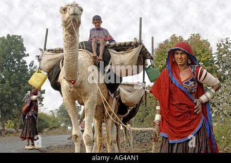 HMA79188 Migratory family of gypsies travel by camels Akola Akot Maharashtra India Stock Photo