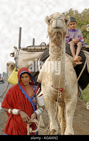 HMA79189 Migratory family of gypsies travel by camels Akola Akot Maharashtra India Stock Photo