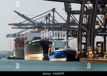 SCT Southampton Container Terminal southern England UK Ships Loading and Unloading Stock Photo