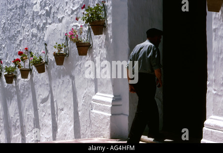 An old whitewashed wall with pots of geraniums in the village of Competa, near Malaga. Stock Photo