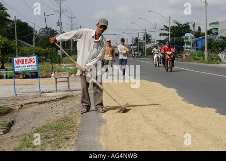 Drying rice on the road in the Mekong delta region of Vietnam Stock Photo