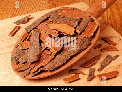 CINNAMON BARK CASSIA CINNAMON Stock Photo