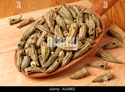 DRIED OKRA Stock Photo