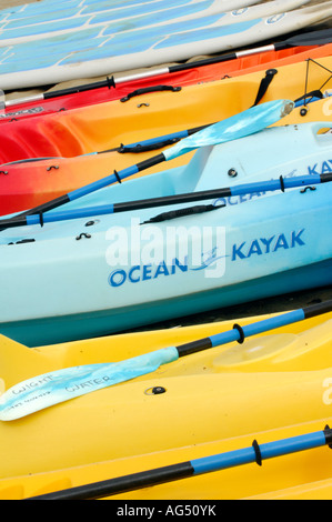 row of canoes kayaks lined up on the beach at sandown shanklin isle of wight ready for hire Stock Photo