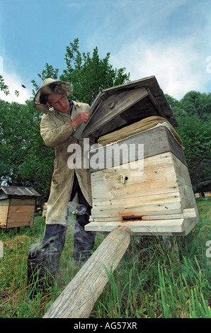 Beekeeper opens a beehive. Altai. Siberia. Russia Stock Photo