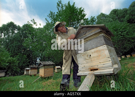 Beekeeper opens a beehive. Altai. Siberia. Russia Stock Photo