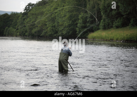 Scottish Salmon Fishing  Fisherman in waders wading  River Spey, Speyside, Castle Grant beat, Scotland uk Stock Photo