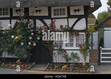 The Cat House (built in 1550) in Henfield East Sussex. UK Stock Photo