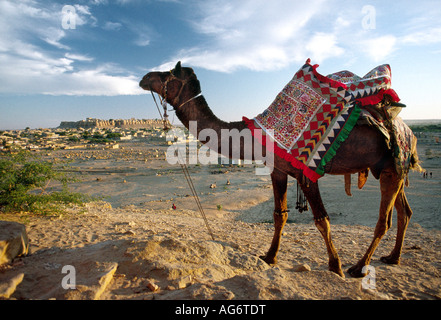 India Rajasthan Jaisalmer fort from the yas Ki Chhatri with camel Stock Photo