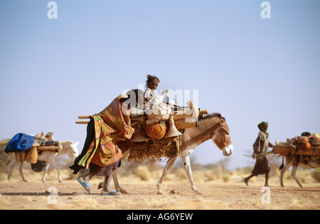 Niger near Agadez People from Wodaabe tribe traveling on loaded donkeys in order to move camp Stock Photo