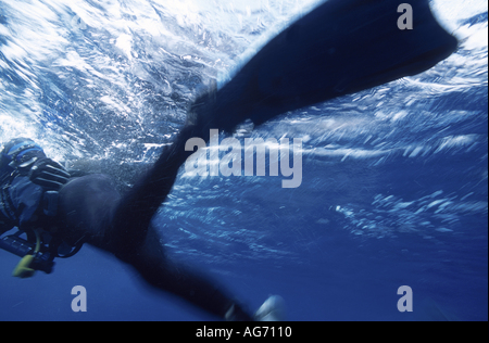 France marseille blurred legs and fins of scuba diver near surface Stock Photo
