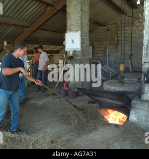 Worker feeding the boiler fire with lavender remnants, Distillerie du Vallon, lavender oil distillery, Sault, Vaucluse, Provence, France Stock Photo