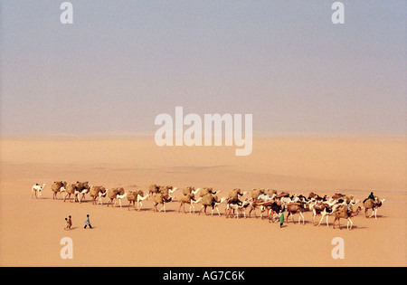 Niger Tenere Tuareg tribe doing traditional salt caravan from Agadez to the oases Fachi and Bilma Stock Photo