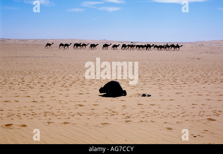 Niger Tenere Tuareg tribe doing traditional salt caravan from Agadez to the oases Fachi and Bilma Stock Photo