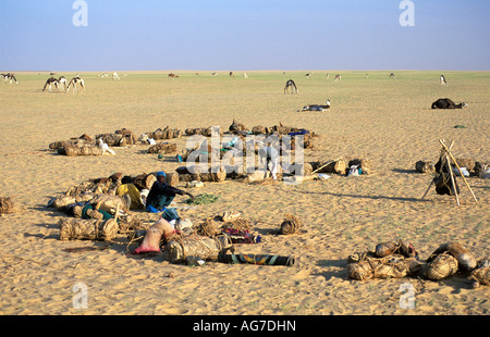 Niger Tenere Tuareg tribe doing traditional salt caravan from Agadez to the oases Fachi and Bilma Stock Photo