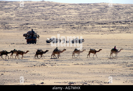 Niger Tenere Tuareg tribe doing traditional salt caravan from Agadez to the oases Fachi and Bilma Stock Photo