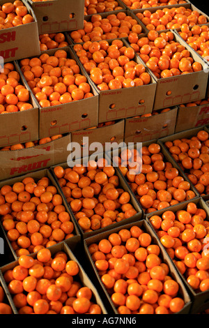 Boxes of fresh mandarins for sale in a city market stall Stock Photo