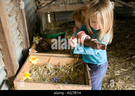 two girls two and three finding chocolate eggs and bunnies on easter egg hunt in chicken coop Stock Photo