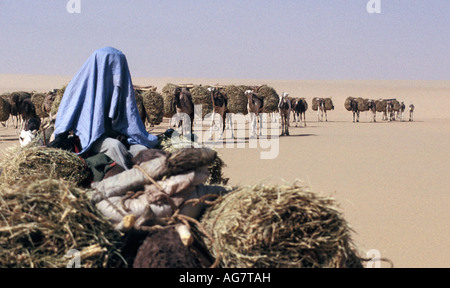 Niger Tenere Tuareg tribe doing traditional salt caravan from Agadez to the oases Fachi and Bilma Stock Photo