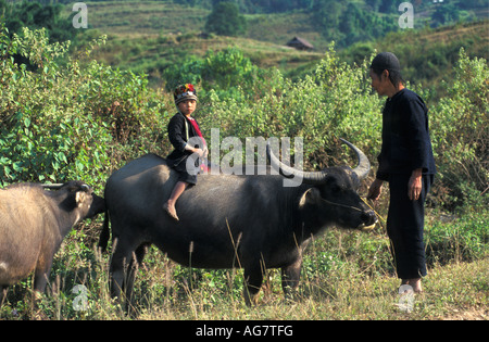 Vietnam Sapa Boy riding on buffalo Stock Photo