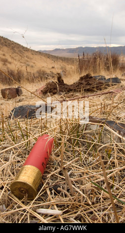 Used shotgun shell Stock Photo - Alamy