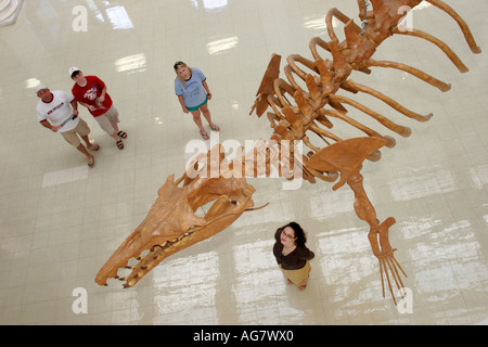 Tuscaloosa Alabama,University of Alabama,Museum of Natural History,whale fossil,visitors travel traveling tour tourist tourism landmark landmarks cult Stock Photo - Alamy