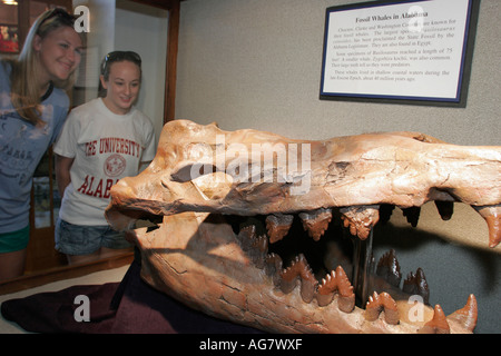 Tuscaloosa Alabama,University of Alabama,Museum of Natural History,fossil whale,visitors travel traveling tour tourist tourism landmark landmarks cult Stock Photo - Alamy