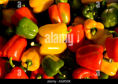 Red Yellow and green peppers displayed Stock Photo