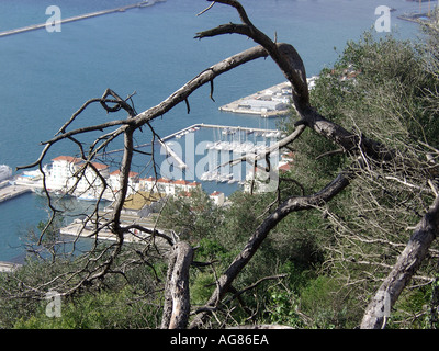 Gibraltar Marina and Harbour Viewed from Upper Rock Nature Reserve  Marina harbour boats ships shipping tankers looking down Stock Photo