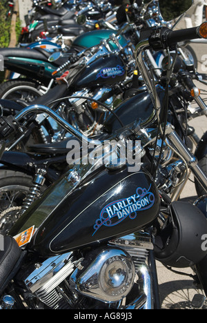 Harley Davidson motorbikes parked in a row at Harley Days 2006, Hamburg, Germany Stock Photo