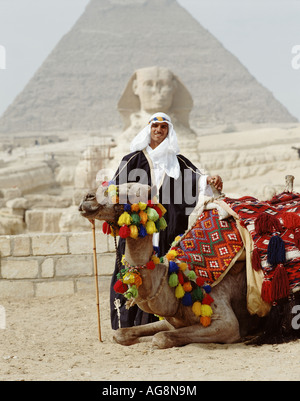 Camel driver in front of Sphinx and Pyramid, Giza, Egypt, North Africa Stock Photo
