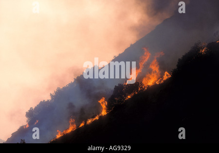 Wildfire burning up hillside in California USA Stock Photo