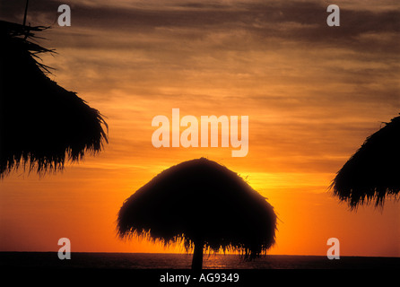 Thatched palapas on the beach Property released image Stock Photo